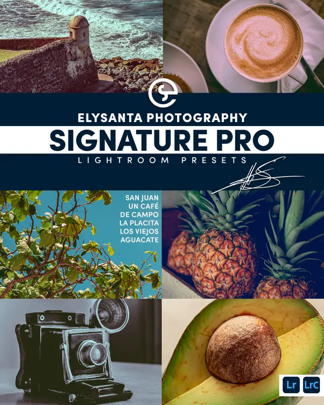 Elysanta Signature Pro Lightroom Presets